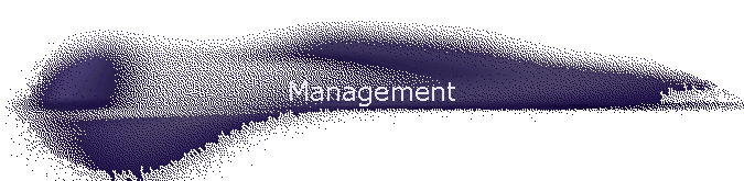 Management